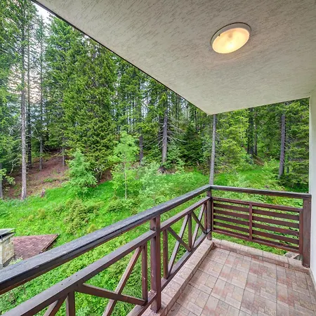 The Stream Пампорово