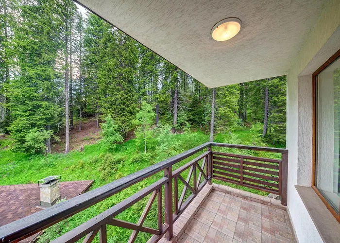 The Stream Pamporovo